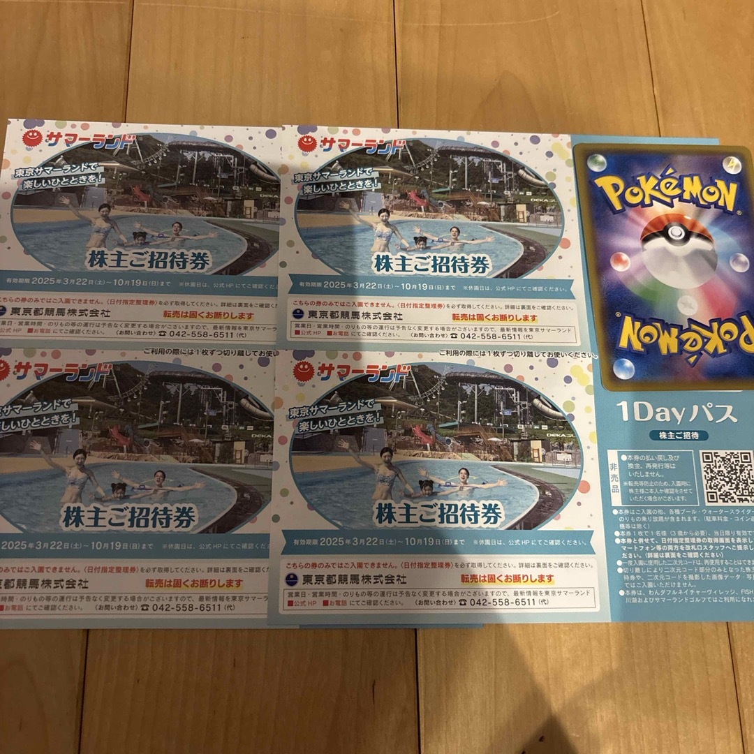 東京サマーランド 株主優待ご招待券 優待券 東京都競馬の通販 by 東京サマーランド 株主優待ご招待券 優待券 東京都競馬の通販 by