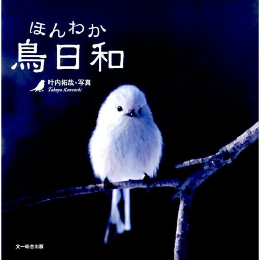 ほんわか鳥日和 /文一総合出版/叶内拓哉(単行本) エンタメ/ホビーの本(趣味/スポーツ/実用)の商品写真