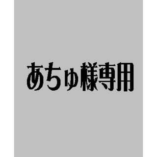 あちゅ様専用(ネームタグ)