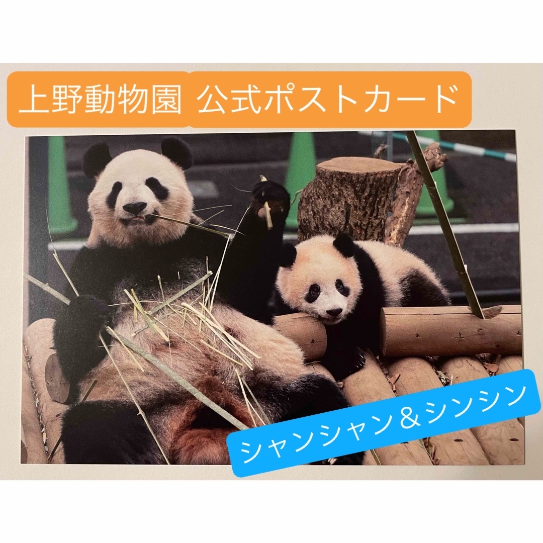 シャンシャン & シンシン 上野動物園公式ポストカード② シャンシャン & シンシン 上野動物園公式ポストカード②