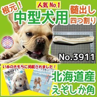 アミンアバスト 猫・小型犬用規格(300mg)60カプセル〈犬猫用 アミンアバスト 猫・小型犬用規格(300mg)60カプセル〈犬猫用
