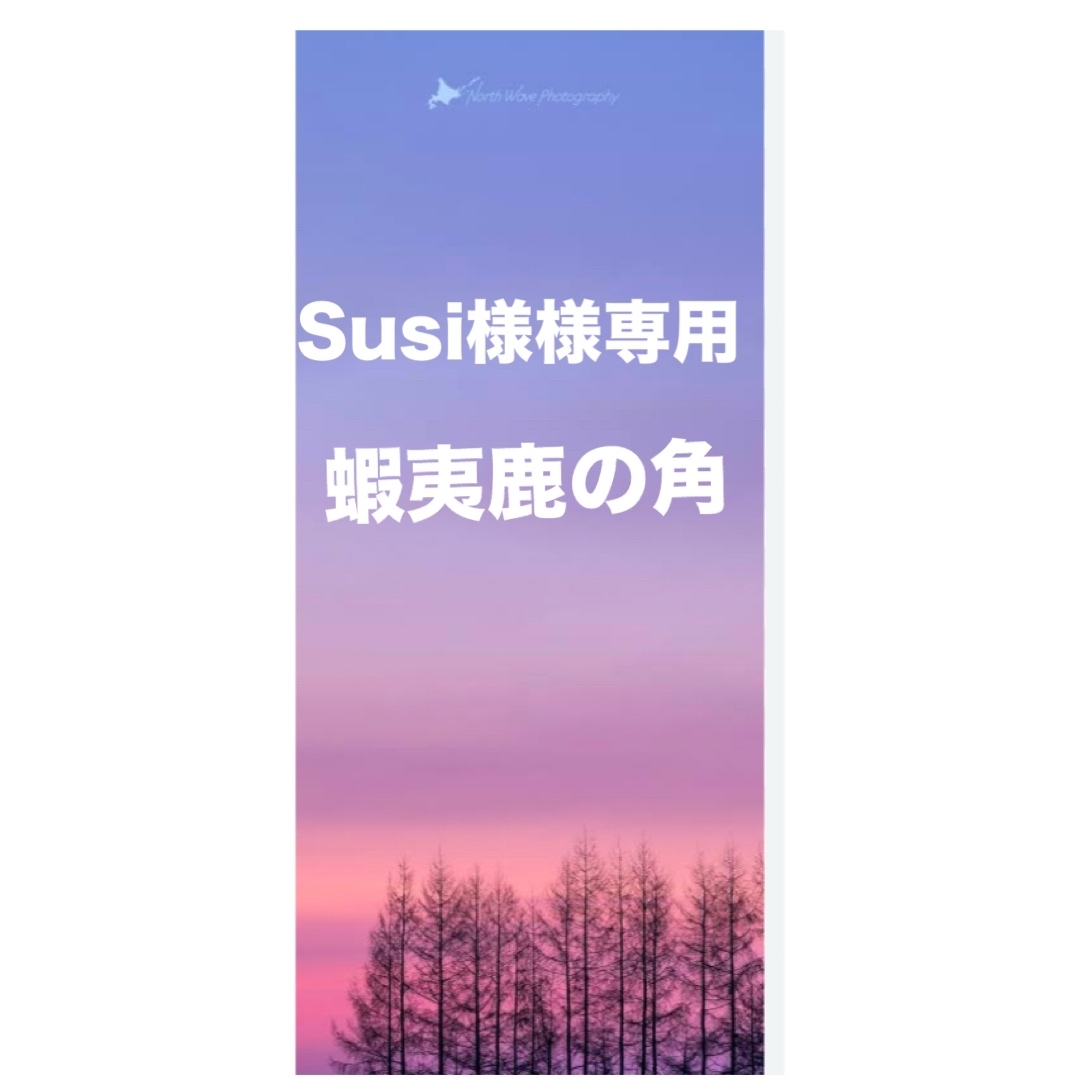 鹿の角 鹿のツノ 鹿角 鹿ツノ 蝦夷鹿 角 ハンドメイド クラフト 鹿の角 鹿のツノ 鹿角 鹿ツノ 蝦夷鹿 角 ハンドメイド クラフト