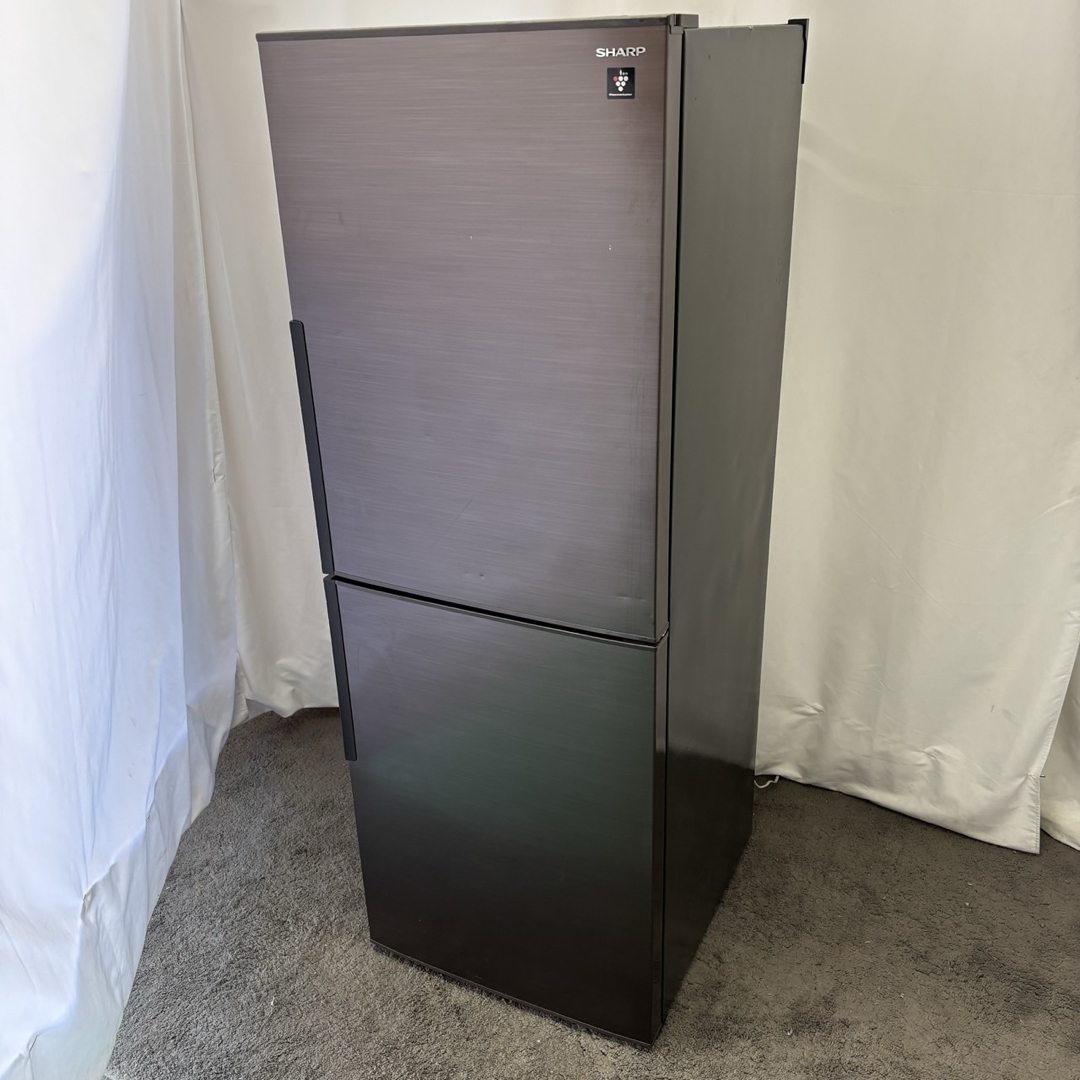 SHARP - 冷蔵庫 シャープ 一人暮らし 大型 300㍑弱級 中古 安い SHARP - 冷蔵庫 シャープ 一人暮らし 大型 300㍑弱級 中古 安い