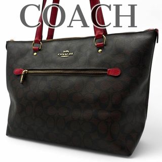 COACH - COACH コーチ フローラル ラージ ダービートートバッグ COACH - COACH コーチ フローラル ラージ ダービートートバッグ