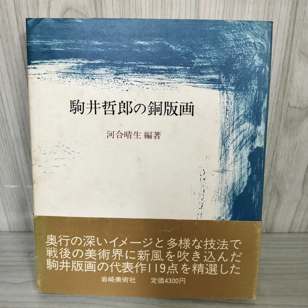 人気満点 駒井哲郎の銅版画 1983年 岩崎美術社発行 河合晴生編著 昭和58年 哲学、思想