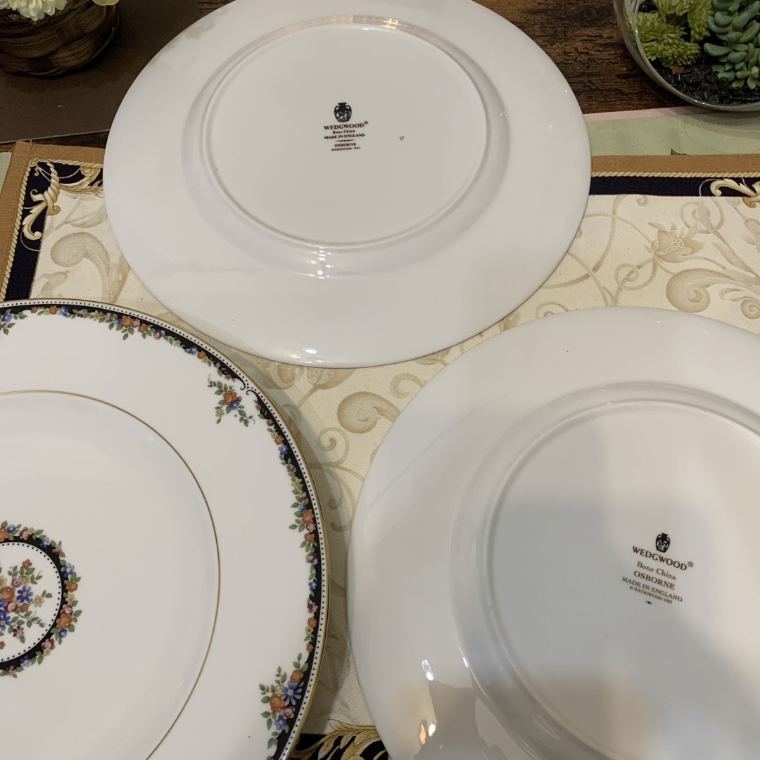 WEDGWOOD - 未使用 ウェッジウッド オズボーン 27cm ディナー WEDGWOOD - 未使用 ウェッジウッド オズボーン 27cm ディナー