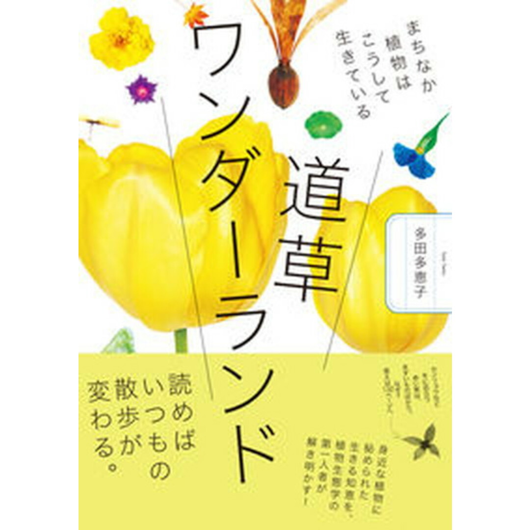 道草ワンダーランド まちなか植物はこうして生きている/NHK出版/多田多恵子(単行本) エンタメ/ホビーの本(趣味/スポーツ/実用)の商品写真