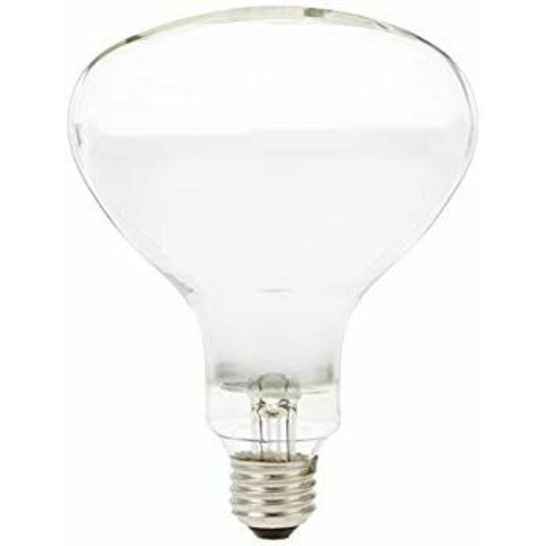 岩崎 屋外用レフランプ 200W型 RS220V180WH qqffhab インテリア/住まい/日用品のライト/照明/LED(蛍光灯/電球)の商品写真