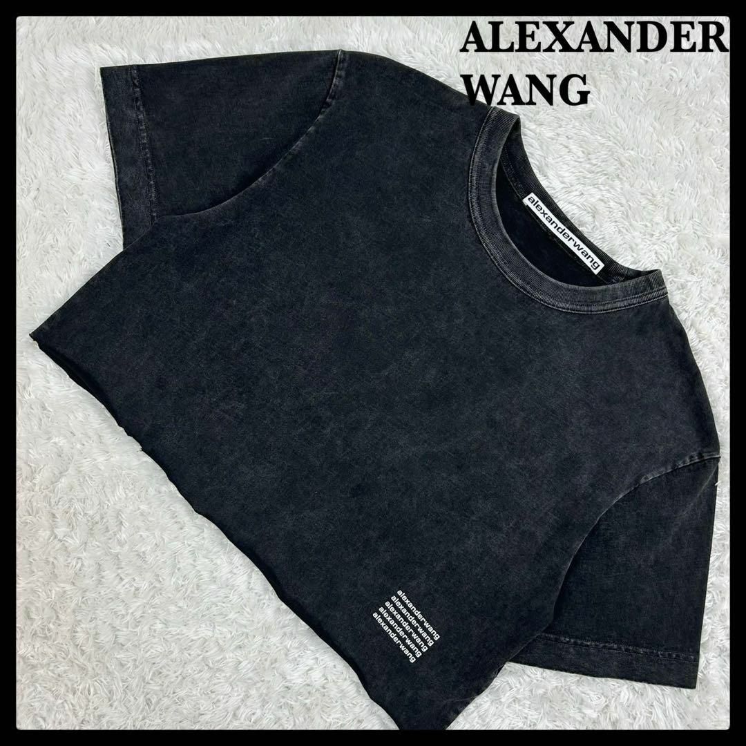 Alexander Wang - 【ヴィンテージ加工】アレキサンダーワン☆T Alexander Wang - 【ヴィンテージ加工】アレキサンダーワン☆T