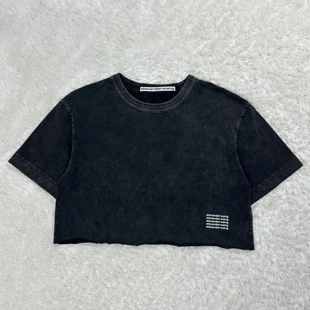 Alexander Wang - 【ヴィンテージ加工】アレキサンダーワン☆T Alexander Wang - 【ヴィンテージ加工】アレキサンダーワン☆T