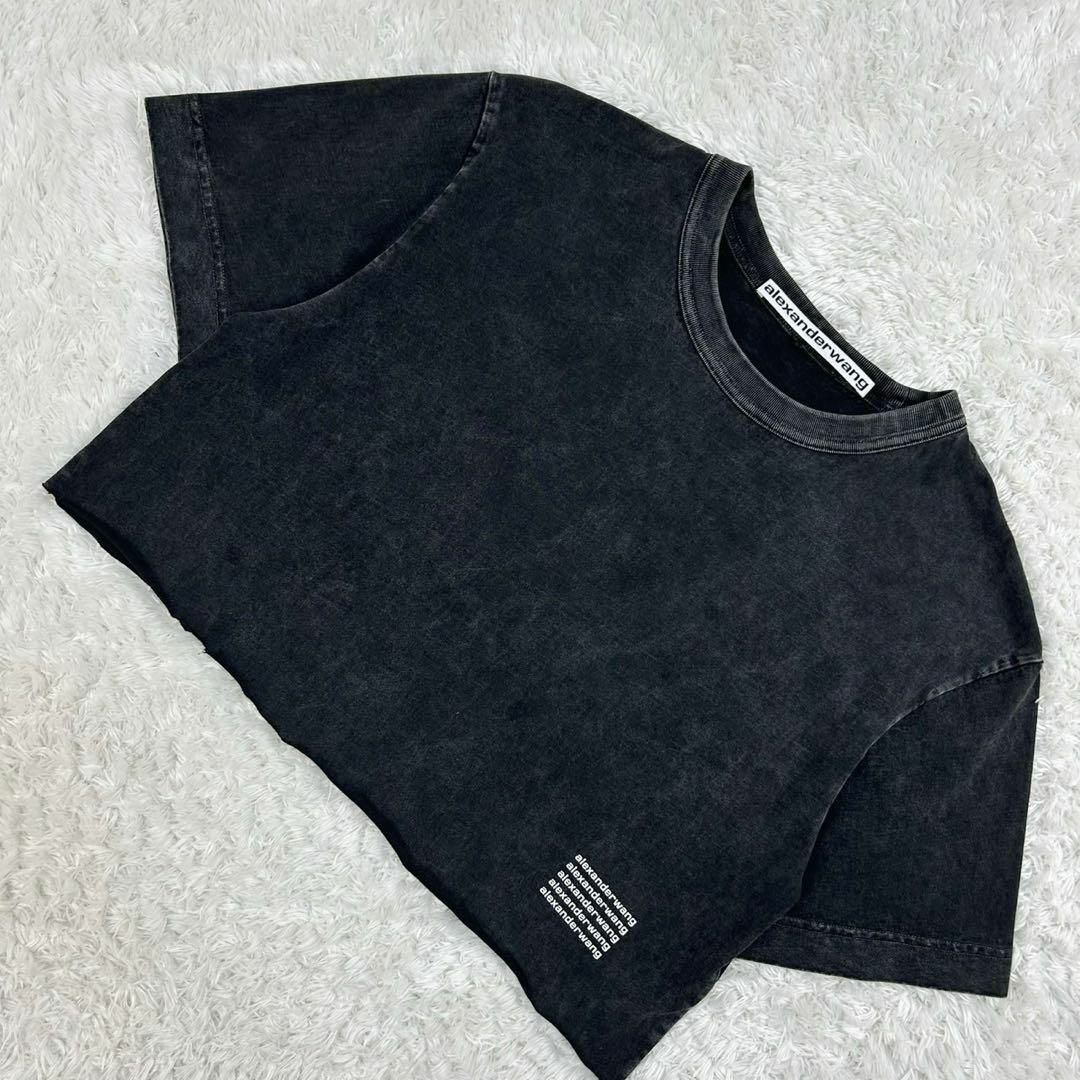 Alexander Wang - 【ヴィンテージ加工】アレキサンダーワン☆T Alexander Wang - 【ヴィンテージ加工】アレキサンダーワン☆T