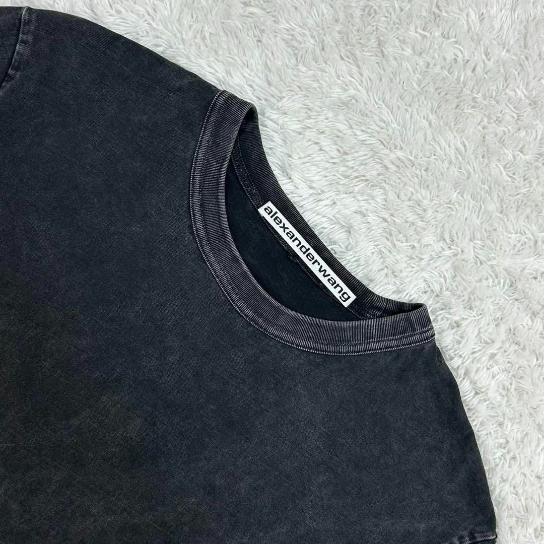 Alexander Wang - 【ヴィンテージ加工】アレキサンダーワン☆T Alexander Wang - 【ヴィンテージ加工】アレキサンダーワン☆T