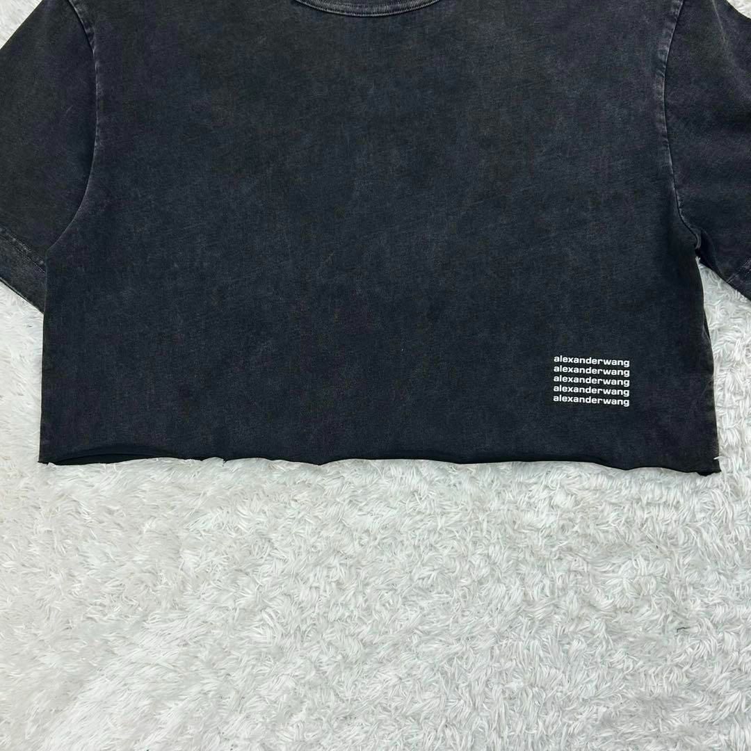 Alexander Wang - 【ヴィンテージ加工】アレキサンダーワン☆T Alexander Wang - 【ヴィンテージ加工】アレキサンダーワン☆T