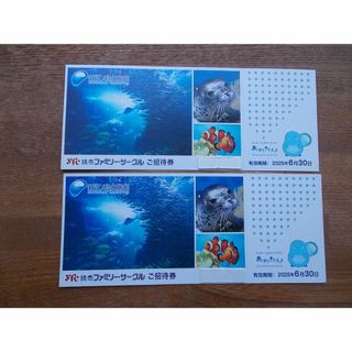 ラッコのメイとキラ 鳥羽水族館 オリジナル写真集の通販 by ラッコのメイとキラ 鳥羽水族館 オリジナル写真集の通販 by