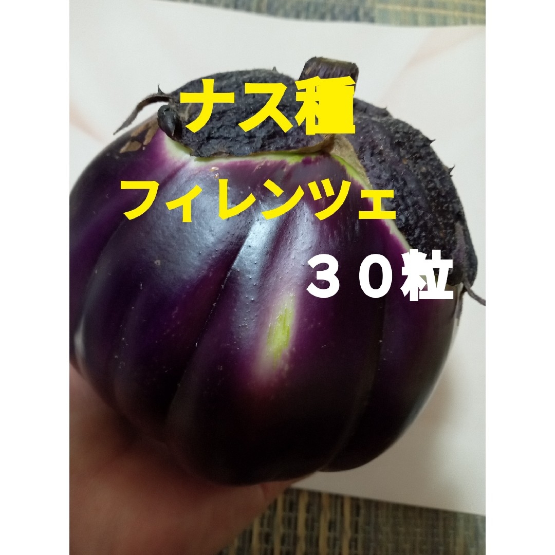 黒なす種 フィレンツェ 30粒 タネ ハンドメイドのフラワー/ガーデン(その他)の商品写真