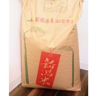くず米 25kg 青米 小米 肥料 鳥の餌 飼料 玄米 安い 小動物 くず米 25kg 青米 小米 肥料 鳥の餌 飼料 玄米 安い 小動物