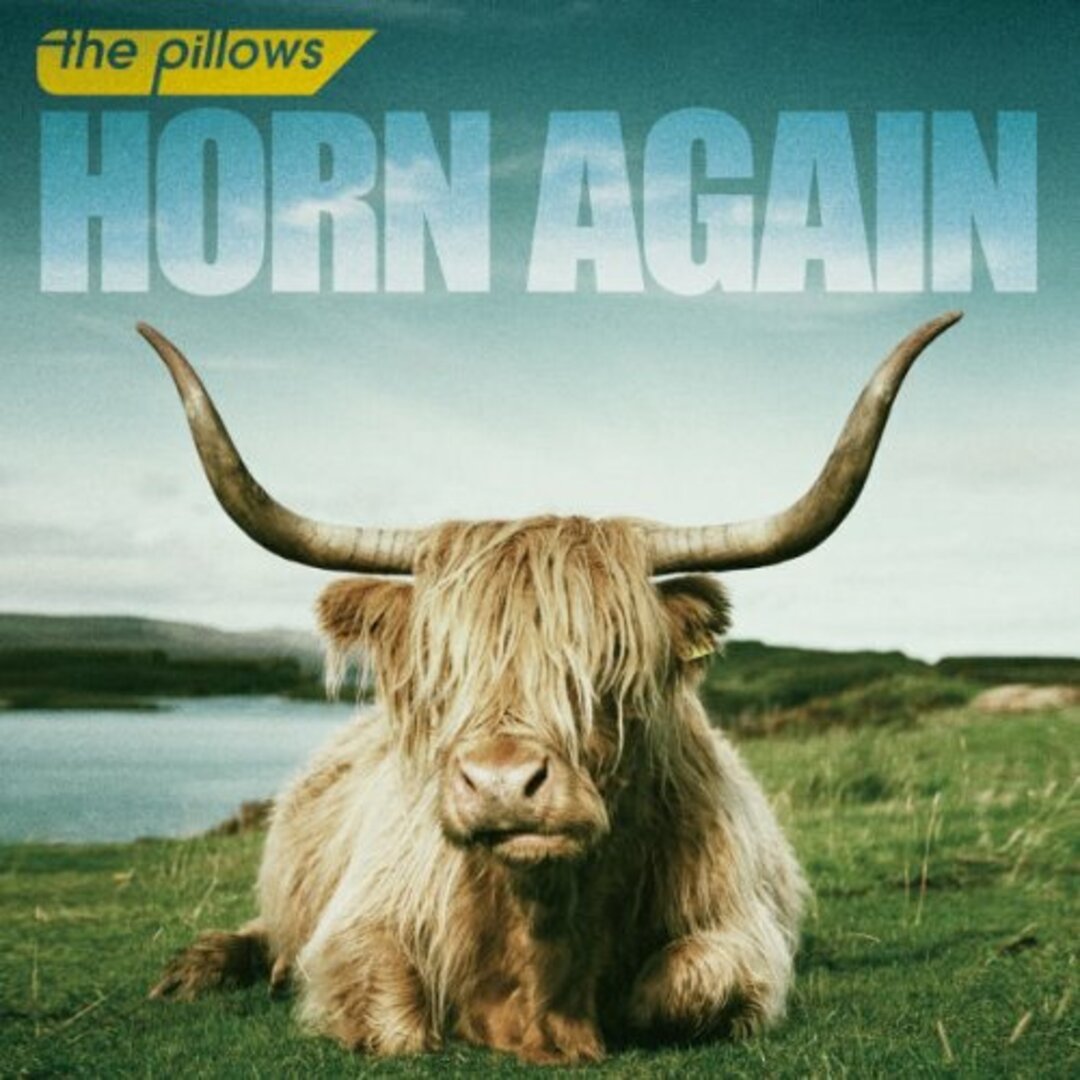 (CD)HORN AGAIN(DVD付)/the pillows エンタメ/ホビーのCD(ポップス/ロック(邦楽))の商品写真
