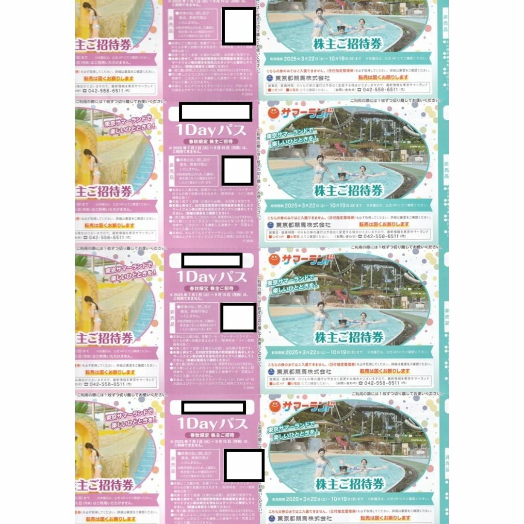 東京都競馬 株主優待 サマーランド 2025年10月19日迄 12枚の通販 東京都競馬 株主優待 サマーランド 2025年10月19日迄 12枚の通販