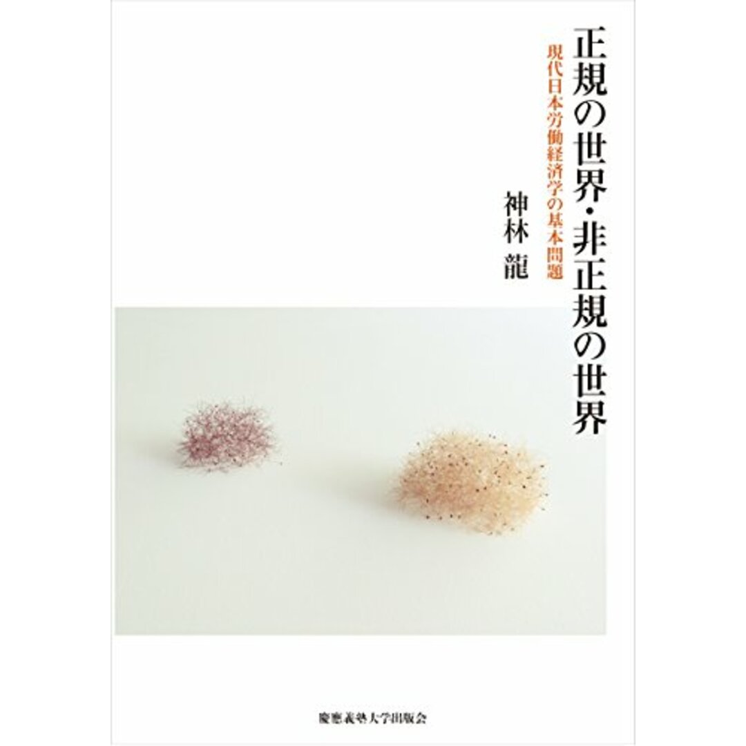 正規の世界・非正規の世界――現代日本労働経済学の基本問題 エンタメ/ホビーの本(語学/参考書)の商品写真