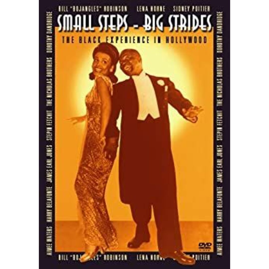 (未使用･未開封品)Small Steps Big Strides [DVD]