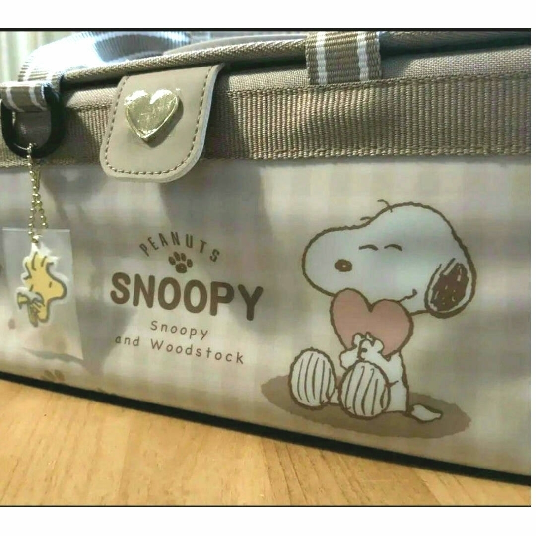SNOOPY - スヌーピー絵の具セット 小学生 小学校 24時間以内の SNOOPY - スヌーピー絵の具セット 小学生 小学校 24時間以内の