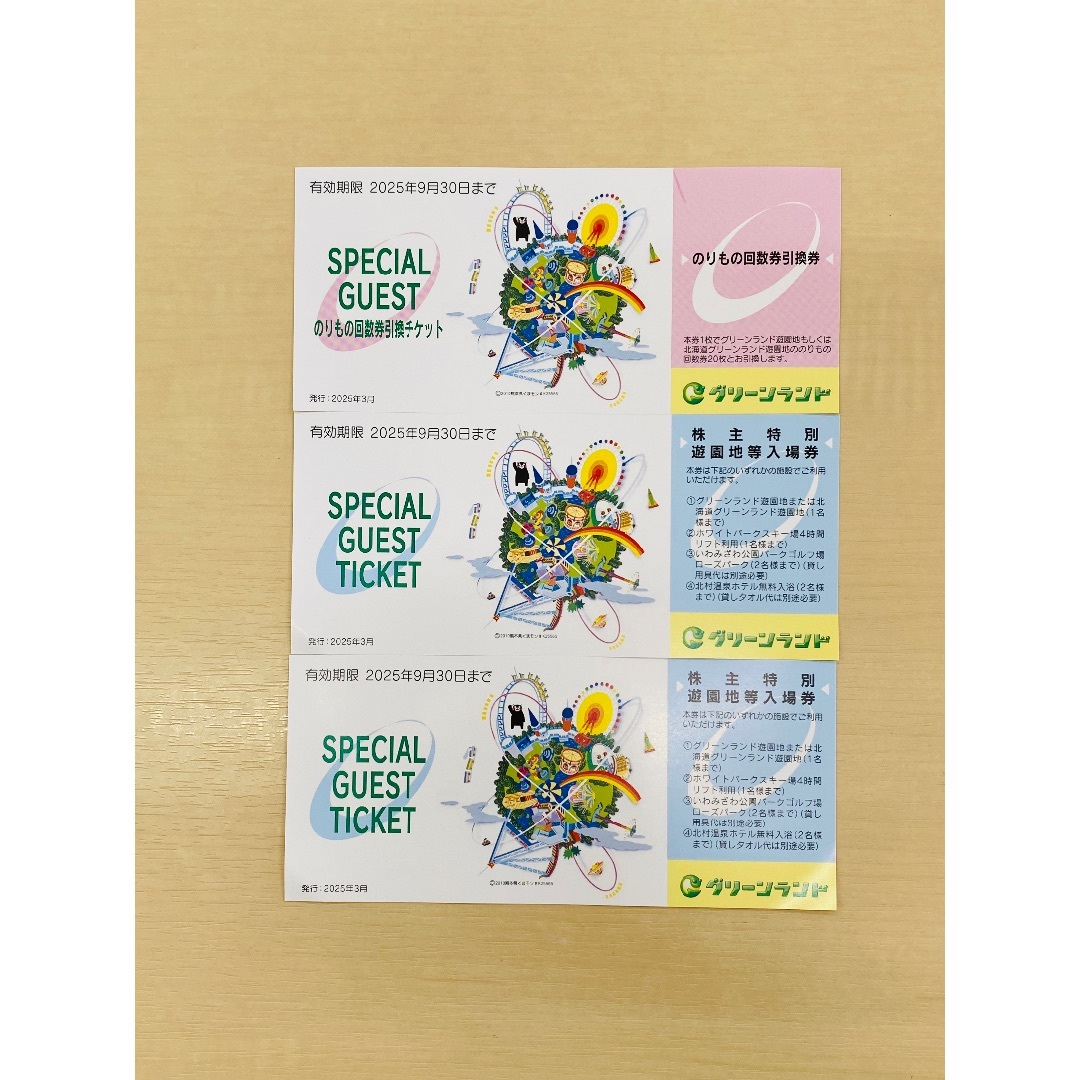 最新最全のをすべて グリーンランド 株主優待 入場券2枚・乗り物回数券引換券1枚の Others