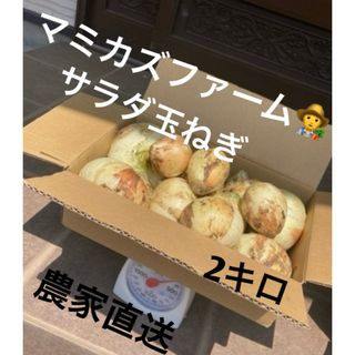 淡路島産玉ねぎ苗50本送料無料の通販 by RH|ラクマ 淡路島産玉ねぎ苗50本送料無料の通販 by RH|ラクマ