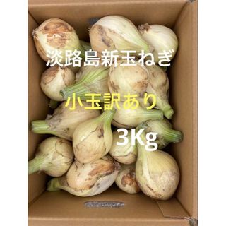 淡路島産玉ねぎ苗50本送料無料の通販 by RH|ラクマ 淡路島産玉ねぎ苗50本送料無料の通販 by RH|ラクマ