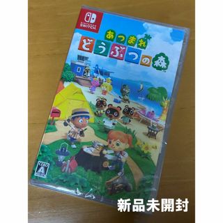Nintendo Switch - Nintendo Switch あつまれ どうぶつの森 Nintendo Switch - Nintendo Switch あつまれ どうぶつの森