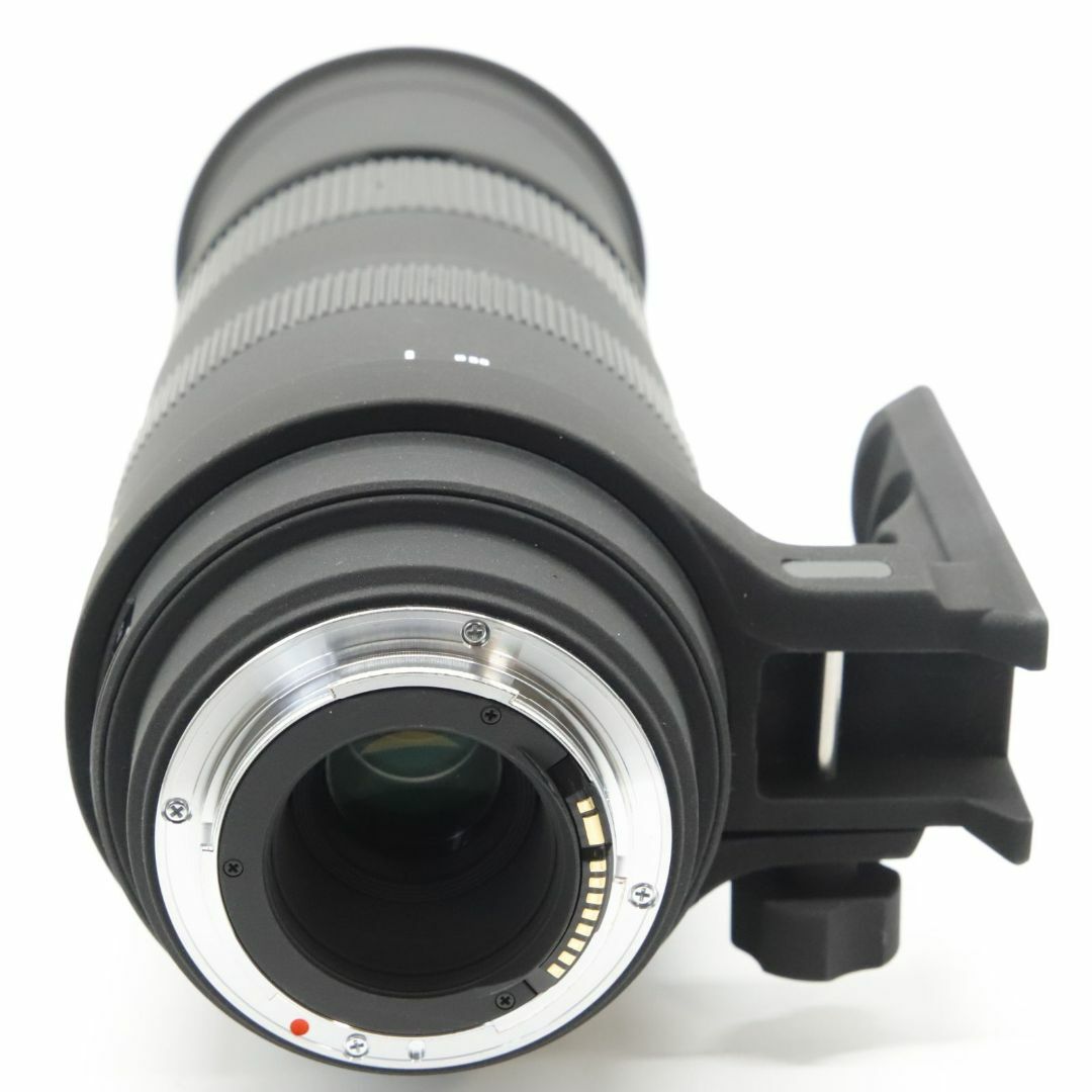 SIGMA - □ほぼ新品□APO 50-500mm F4.5-6.3 DG OS HSMの通販 by SIGMA - □ほぼ新品□APO 50-500mm F4.5-6.3 DG OS HSMの通販 by