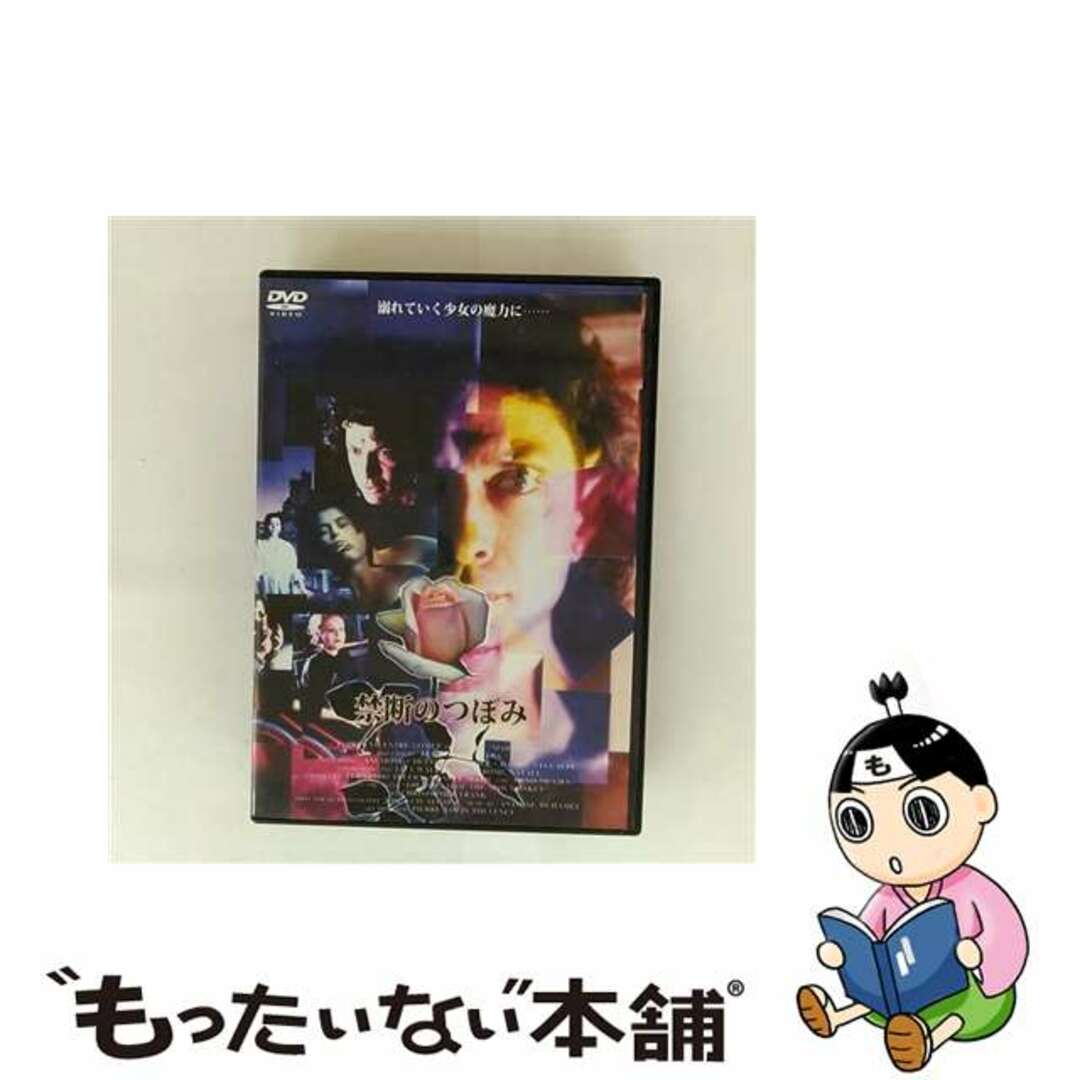 【中古】 禁断のつぼみ 洋画 HNTS-91 エンタメ/ホビーのDVD/ブルーレイ(外国映画)の商品写真