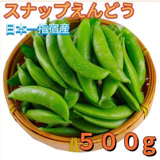 直売所コスパ最強〉沖縄県産 Tさんの葉つきビーツB品約2kg 直売所コスパ最強〉沖縄県産 Tさんの葉つきビーツB品約2kg