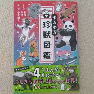 学研 - ☆一期一会 お話10コつめあわせ。小学生文庫 読書 女の子 学研 - ☆一期一会 お話10コつめあわせ。小学生文庫 読書 女の子