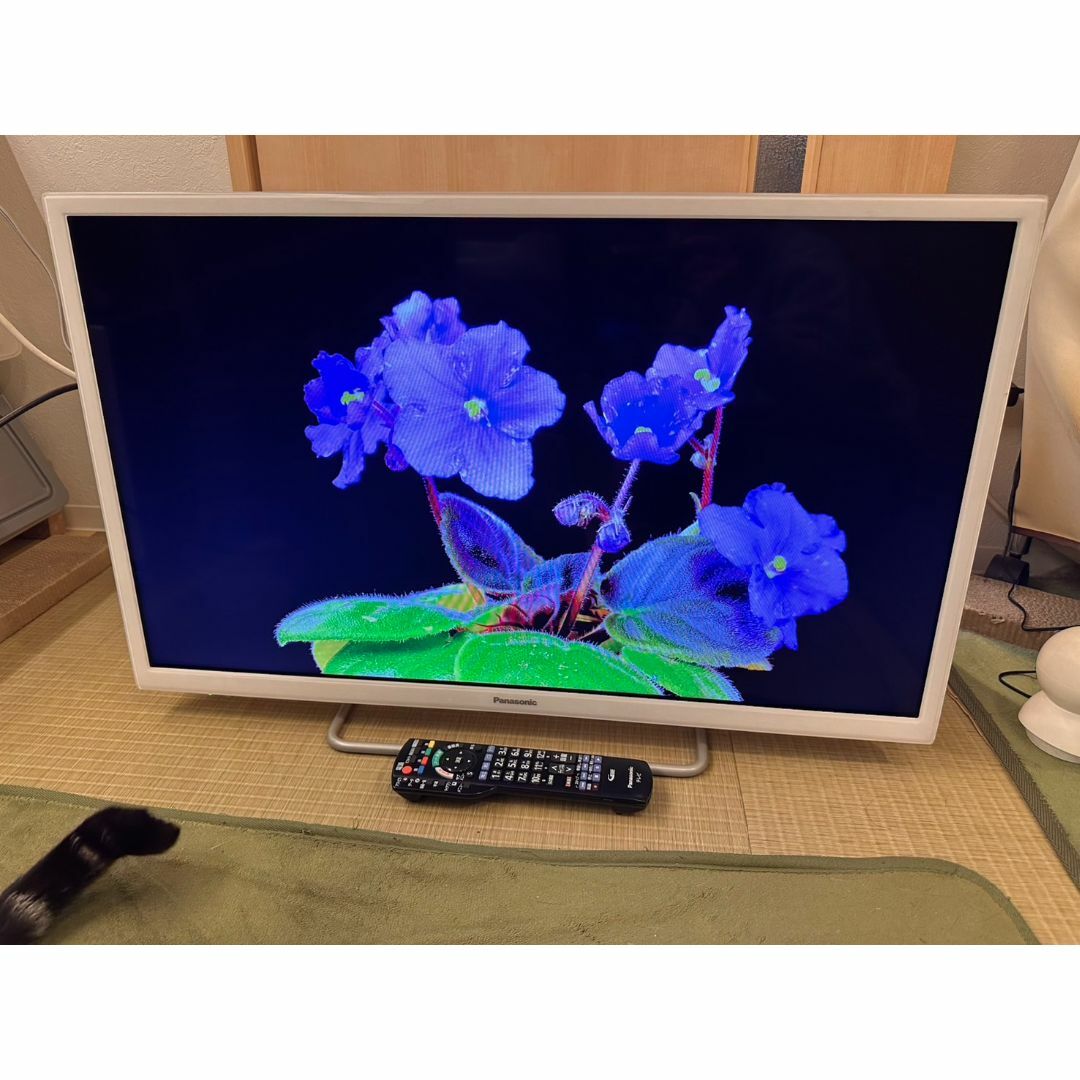 Panasonic - スマートテレビ!パナソニック 32型 TH-32ES500 19 Panasonic - スマートテレビ!パナソニック 32型 TH-32ES500 19