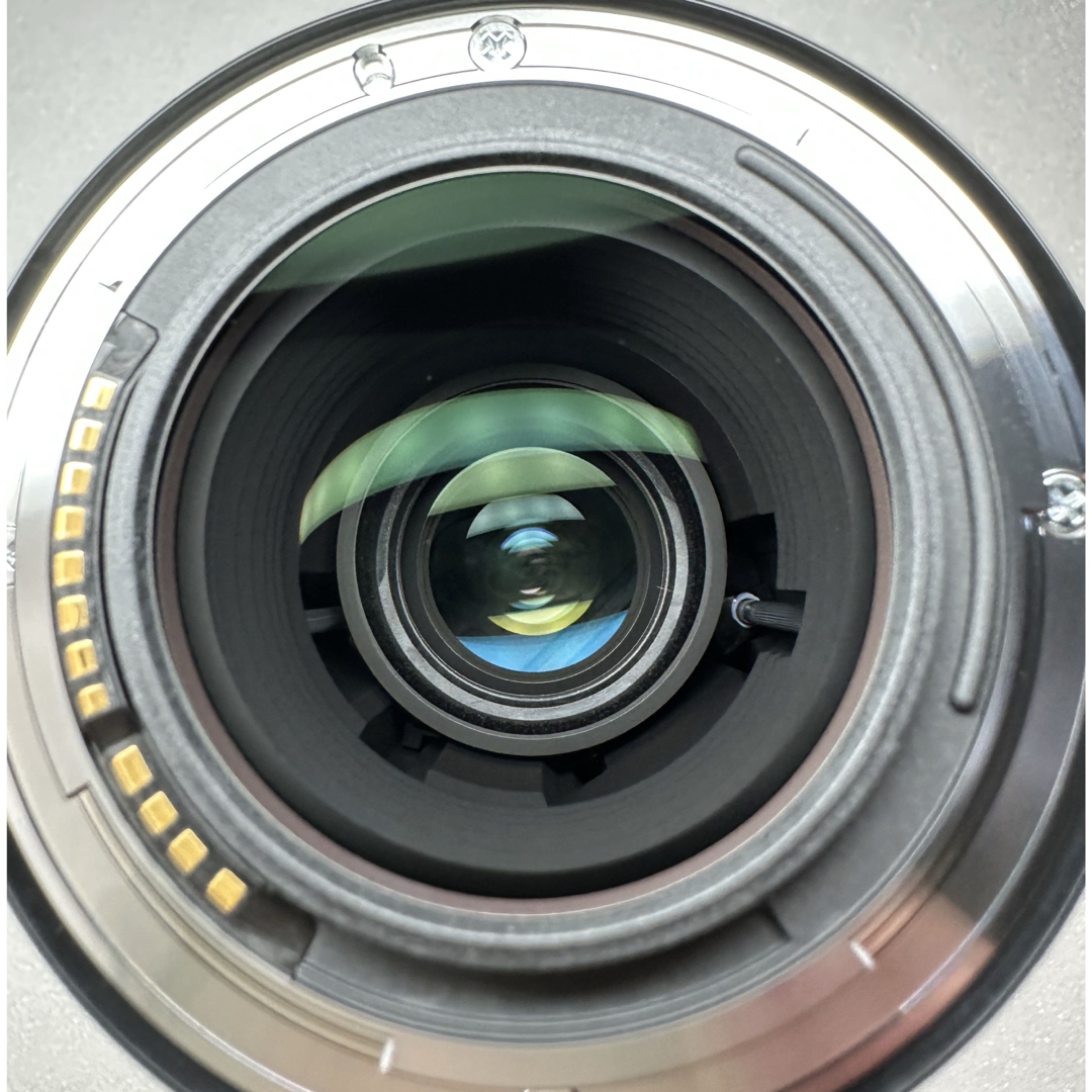 Canon - キヤノン RF100mm F2.8L MACRO IS USM 単焦点レンズの Canon - キヤノン RF100mm F2.8L MACRO IS USM 単焦点レンズの