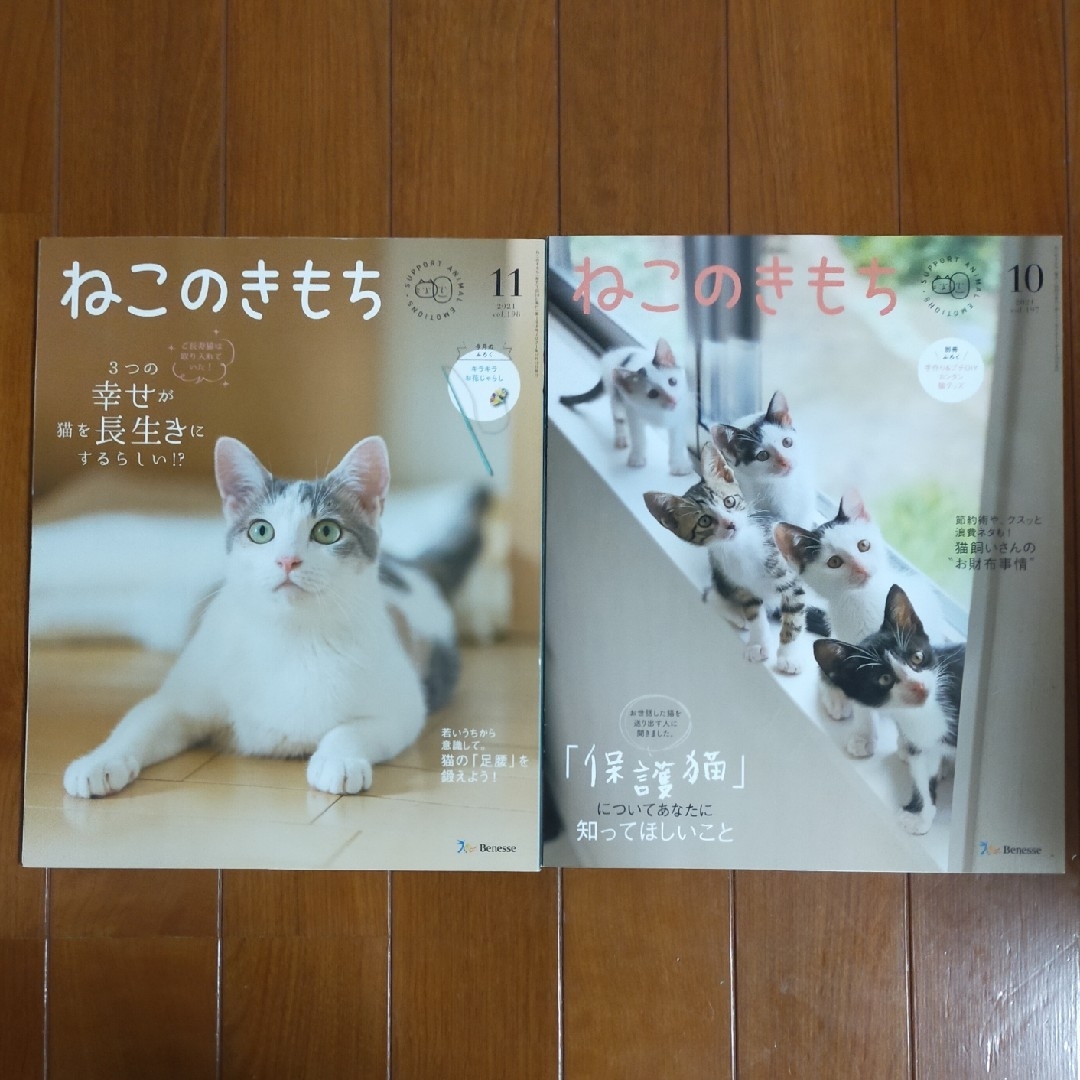 Benesse(ベネッセ)のねこのきもち2021年10月号11月号 その他のペット用品(猫)の商品写真