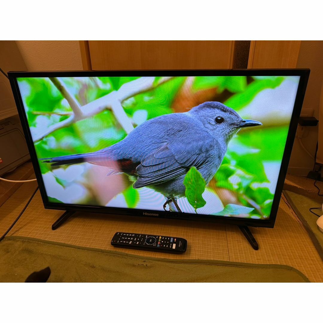Hisense - Hisense ハイセンス 32型 テレビ 32BK1 YouTube可 超 Hisense - Hisense ハイセンス 32型 テレビ 32BK1 YouTube可 超