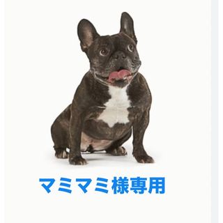 Amway - アムウェイeSpring浄水器Ⅱ 切替バルブ取り付けセットの Amway - アムウェイeSpring浄水器Ⅱ 切替バルブ取り付けセットの