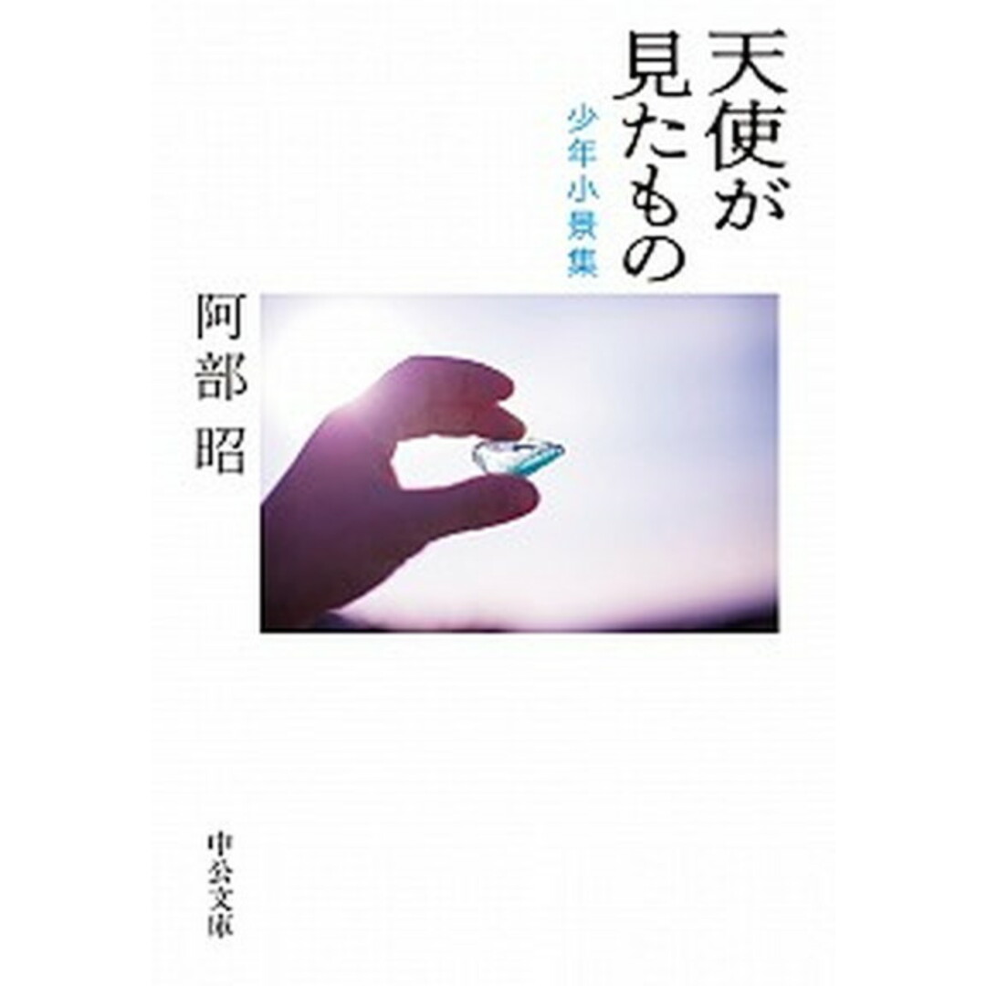 天使が見たもの 少年小景集 /中央公論新社/阿部昭(文庫) エンタメ/ホビーのエンタメ その他(その他)の商品写真