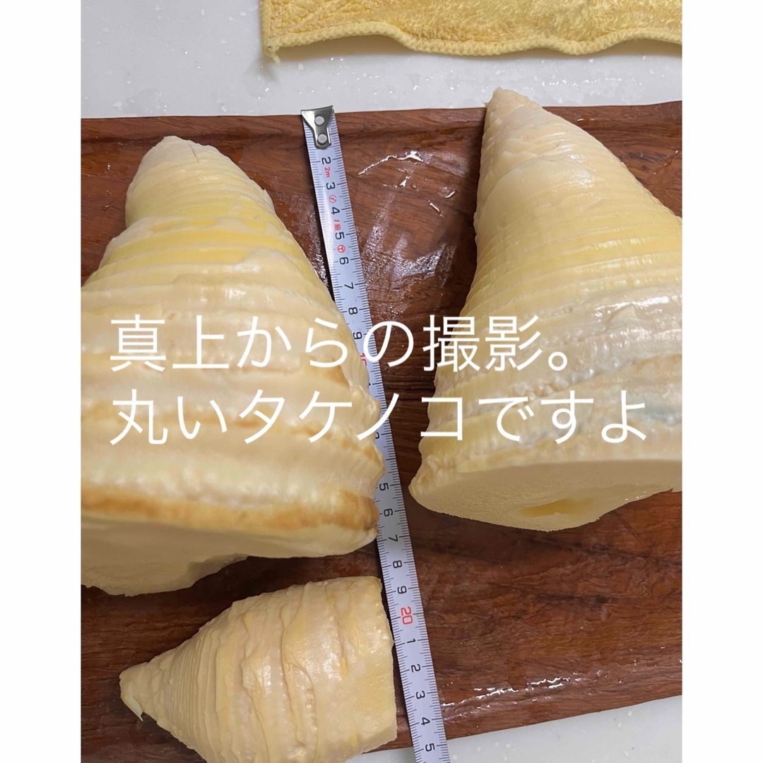 たけのこ 水煮 筍 タケノコ✨ぷっくりな筍❣️の通販 by yuna's たけのこ 水煮 筍 タケノコ✨ぷっくりな筍❣️の通販 by yuna's