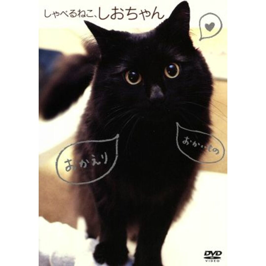 しゃべるねこ、しおちゃん エンタメ/ホビーのDVD/ブルーレイ(趣味/実用)の商品写真
