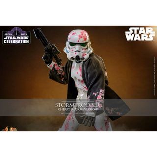 Hot Toys - スターウォーズ ホットトイズ ストームトルーパー Hot Toys - スターウォーズ ホットトイズ ストームトルーパー