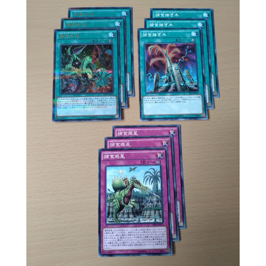 遊戯王 - 遊戯王OCG 捕食植物(プレデター・プランツ)パーツの 遊戯王 - 遊戯王OCG 捕食植物(プレデター・プランツ)パーツの