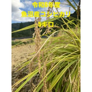 令和5年収穫 米 もみ 30キロ 籾の通販 by k@n@'s shop|ラクマ 令和5年収穫 米 もみ 30キロ 籾の通販 by k@n@'s shop|ラクマ