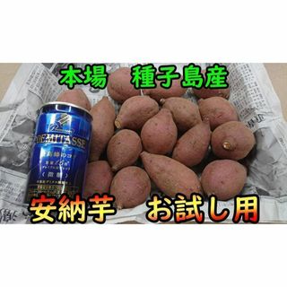 本場種子島産】安納芋紅1kg 完熟!2Sサイズお試し用【病気に 本場種子島産】安納芋紅1kg 完熟!2Sサイズお試し用【病気に
