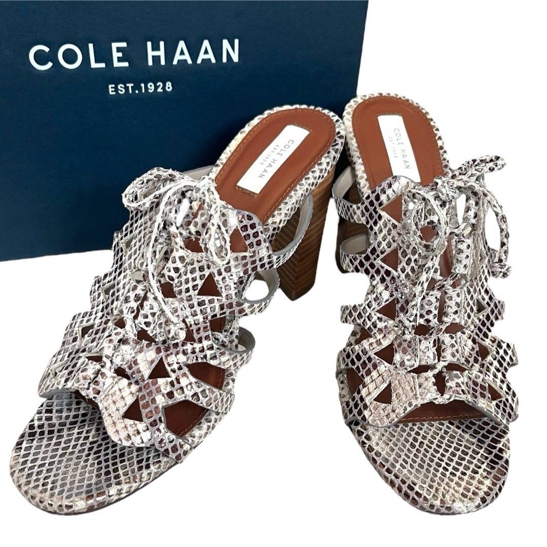 Cole Haan - 美品 COLE HAAN サンダル パイソン サイズ6.5 Cole Haan - 美品 COLE HAAN サンダル パイソン サイズ6.5