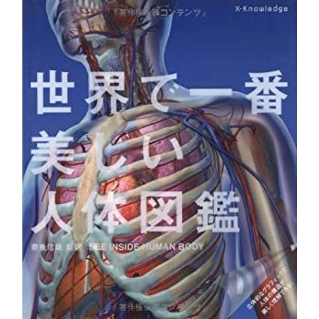 世界で一番美しい人体図鑑 エンタメ/ホビーのエンタメ その他(その他)の商品写真