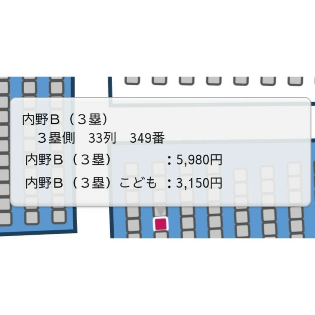 5/31 中日ドラゴンズ vs 読売ジャイアンツ 観戦チケット1枚の 5/31 中日ドラゴンズ vs 読売ジャイアンツ 観戦チケット1枚の