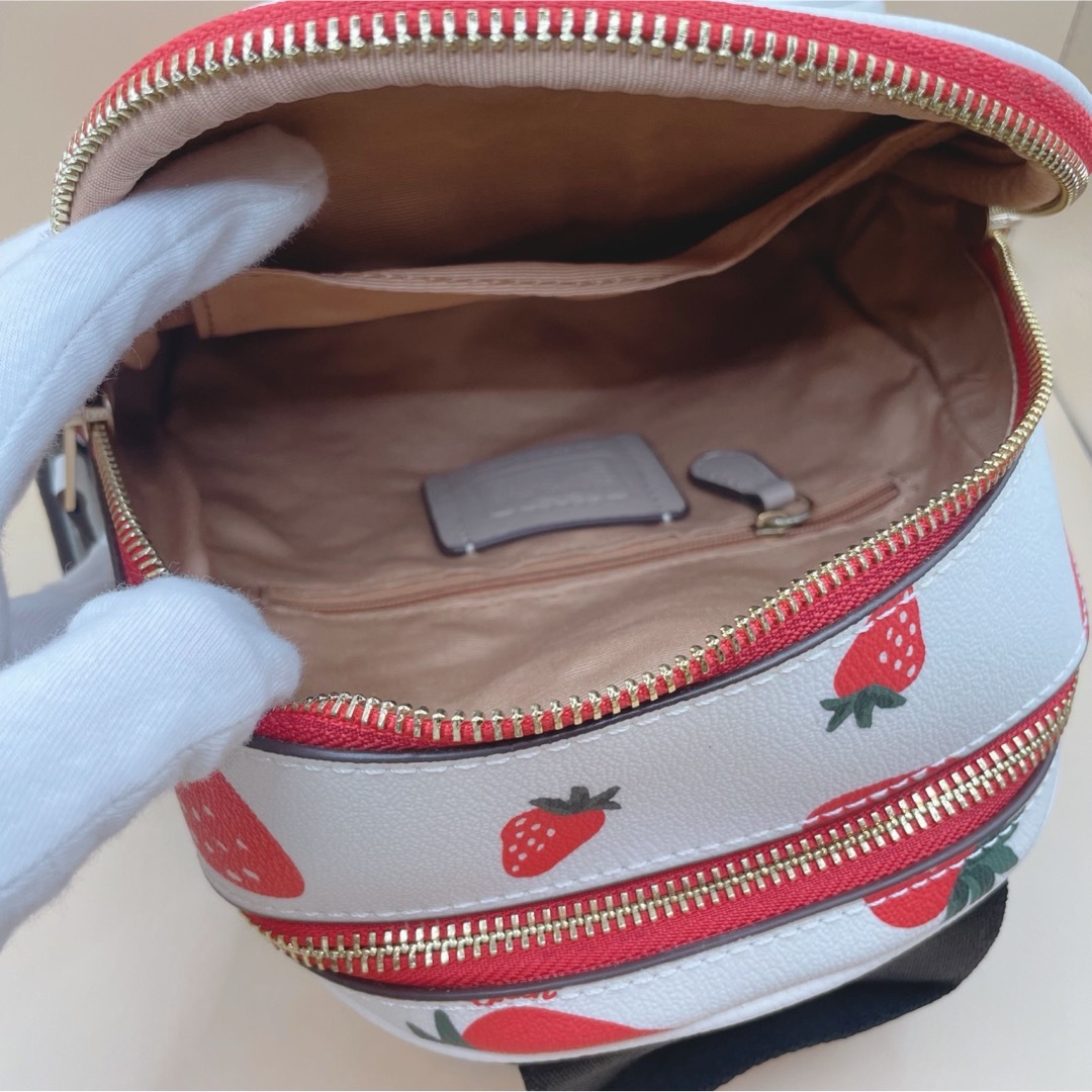 COACH - 【新品未使用】 COACH コーチ リュック ミニ ホワイト COACH - 【新品未使用】 COACH コーチ リュック ミニ ホワイト