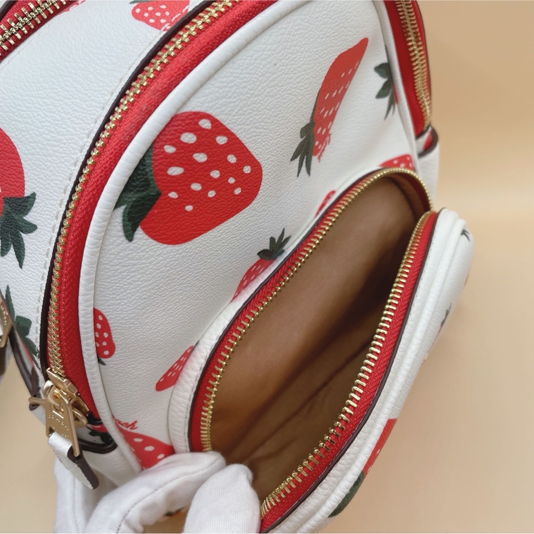 COACH - 【新品未使用】 COACH コーチ リュック ミニ ホワイト COACH - 【新品未使用】 COACH コーチ リュック ミニ ホワイト